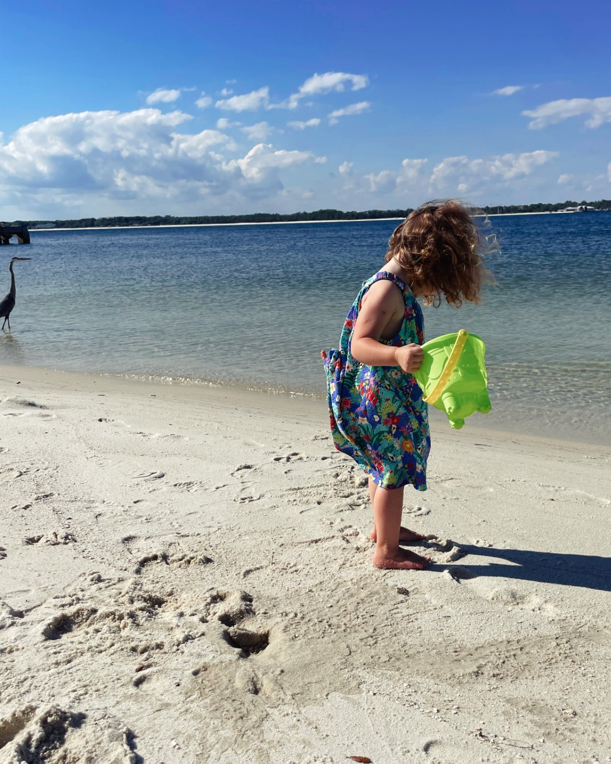 A young child in a flowered dress holding a green sand bucket at the water’s edge, a heron wading nearby